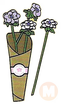 Anemonies (Purple)
