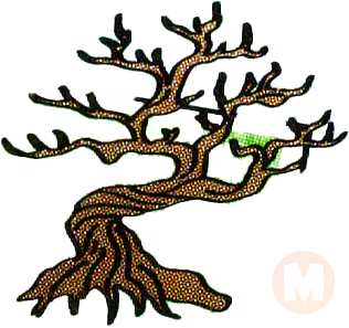Bonsai trunk