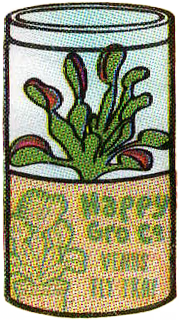 Venus fly trap